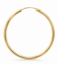 Load image into Gallery viewer, Elara Eternity Hoop