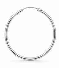 Load image into Gallery viewer, Elara Eternity Hoop